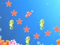 Star fish