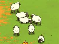 Kaban sheep2