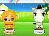 My cute pets 2