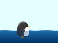 Latający pingwin