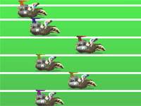 Badger Race