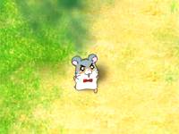 Hamtaro's Day