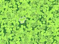 Lucky Clover