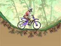 Dirtbike Championship