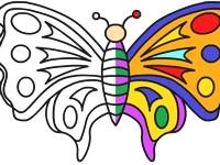 Butterfly Coloring