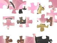 Handbags puzzle